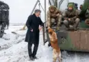 Bernard-Henri Lévy : « Il faut montrer l’horreur de la guerre en Ukraine »